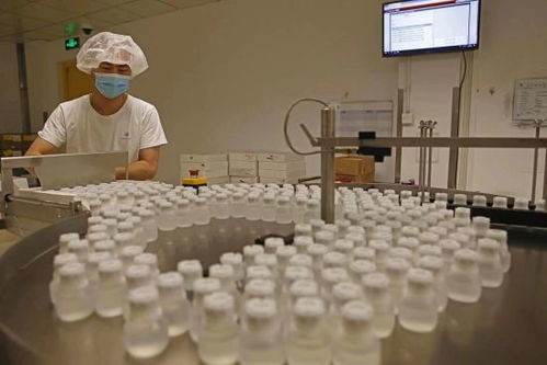 GE醫療堅定扎根中國信心，以更大規模參展第五屆進博會
